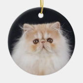 WiccaCats Meira rond ornament (Voorkant)