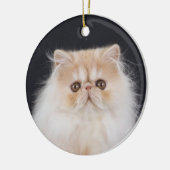 WiccaCats Meira rond ornament (Links)