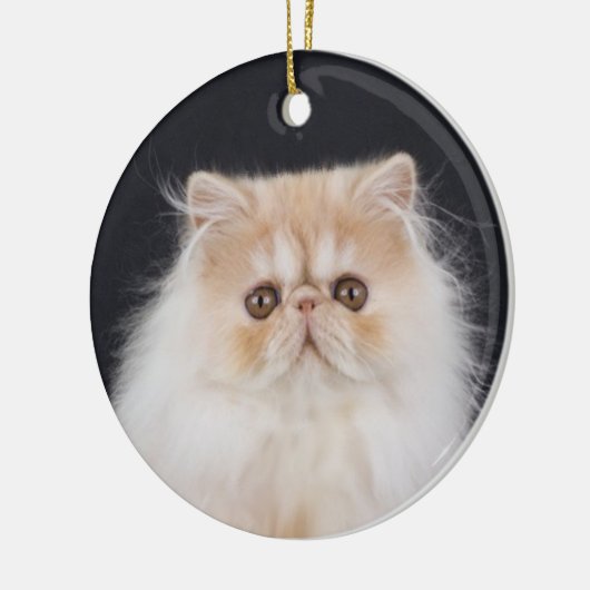 WiccaCats Meira rond ornament (Links)