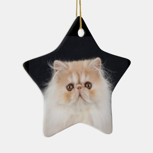 WiccaCats Meira star ornament (Rechts)