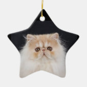 WiccaCats Meira star ornament (Voorkant)