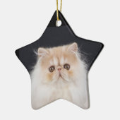 WiccaCats Meira star ornament