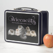 WiccaCats metalen doos (In situ)