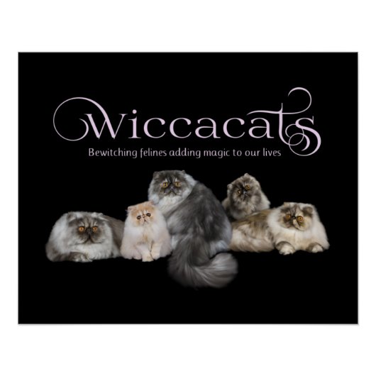 WiccaCats-poster Perfect Poster (Voorkant)