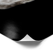 WiccaCats-poster Perfect Poster (Hoek)