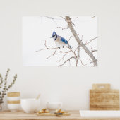 Wichita County, Texas. Blauwe gaai Poster (Keuken)