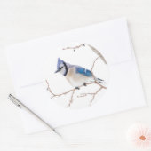 Wichita County, Texas. Blue Jay Ronde Sticker (Envelop)