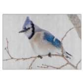Wichita County, Texas. Blue Jay Snijplank (Voorkant)
