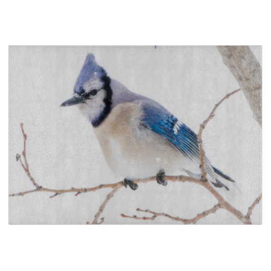 Wichita County, Texas. Blue Jay Snijplank (Voorkant)