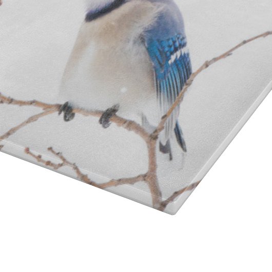 Wichita County, Texas. Blue Jay Snijplank (Hoek)