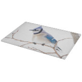 Wichita County, Texas. Blue Jay Snijplank (Hoek)