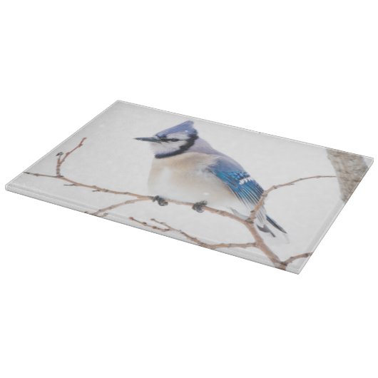 Wichita County, Texas. Blue Jay Snijplank (Hoek)