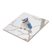 Wichita County, Texas. Blue Jay Tegeltje (Zijkant)