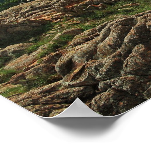 Wichita Mountains Vista met American Bison Poster (Hoek)