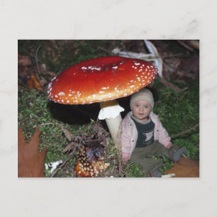 Wichtel - Zwerg unter dem Fliegenpilz Briefkaart