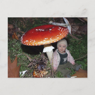 Wichtel - Zwerg unter dem Fliegenpilz Briefkaart
