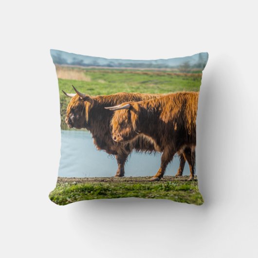 Wicken Fen cattle Kussen (Voorkant)