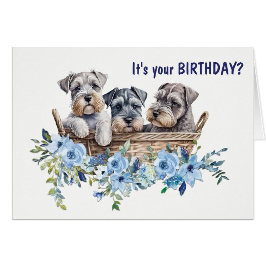 Wicker Basket of Schnauzer Dog Puppies Birthday (Voorkant Horizontaal)