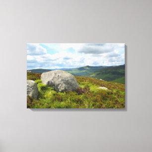 Wicklow-bergen, Ierse canvasafdruk Canvas Afdruk