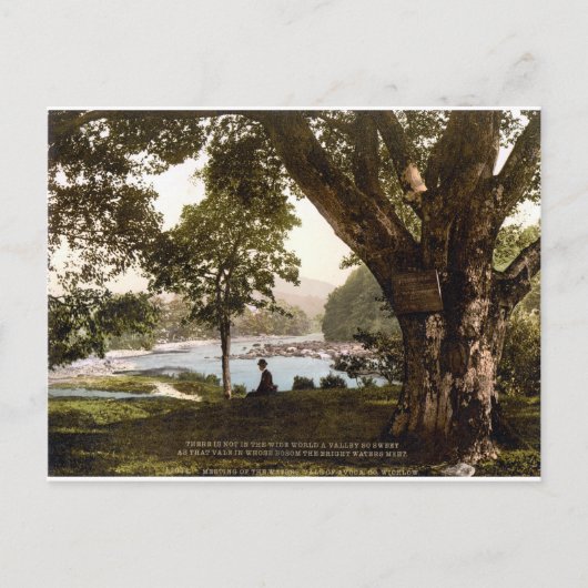 Wicklow Ireland, Thomas Moore Avoca gedicht Briefkaart (Voorkant)