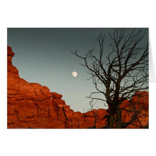 Wicky Moon (Voorkant Horizontaal)