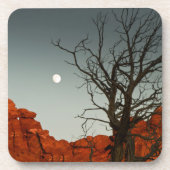 Wicky Moon Bier Onderzetter (Voorkant)