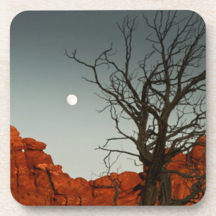 Wicky Moon Bier Onderzetter