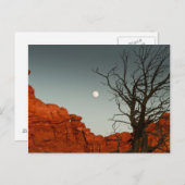 Wicky Moon Briefkaart (Voorkant / Achterkant)