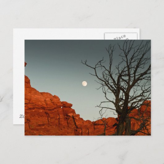 Wicky Moon Briefkaart (Voorkant / Achterkant)