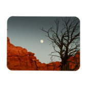 Wicky Moon Magneet (Horizontaal)