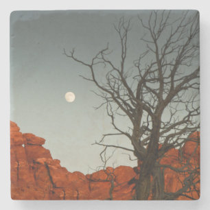 Wicky Moon Stenen Onderzetter