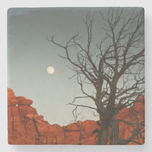 Wicky Moon Stenen Onderzetter (Voorkant)