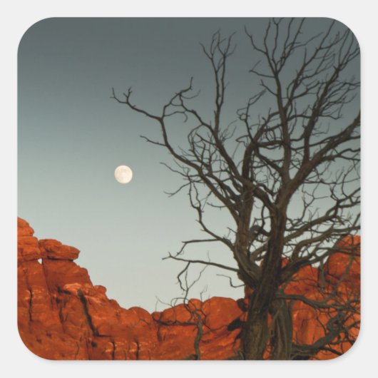 Wicky Moon Vierkante Sticker (Voorkant)