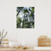 Widewater Trees in de zon Poster (Keuken)