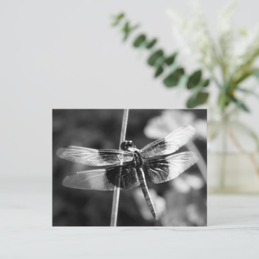 Widow Skimmer Dragonfly Black & White Photography Briefkaart (Staand voorkant)