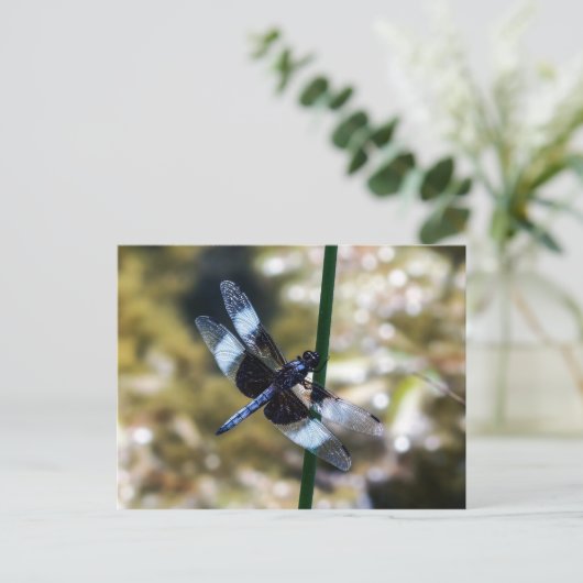 Widow Skimmer Dragonfly Briefkaart (Staand voorkant)
