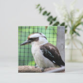 Wie belt een Kook? (Staand voorkant)