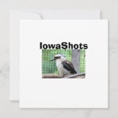 Wie belt een Kook? (Achterkant)