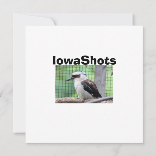 Wie belt een Kook? (Achterkant)