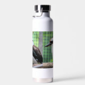 Wie belt een Kook? Waterfles (Rechts)