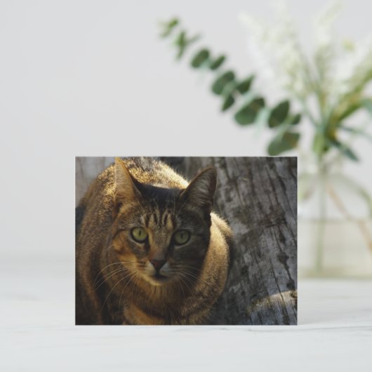 Wie ben ik? briefkaart (Staand voorkant)