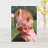 Wie ben ik?  Een Turkmeense kip Kaart (Gele Bloem)