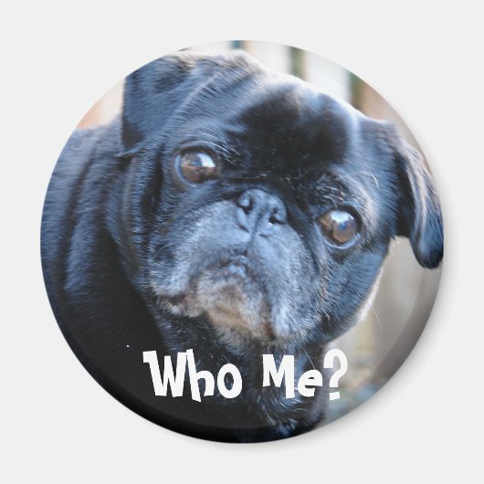 Wie ben ik? Magneet (Voorkant)