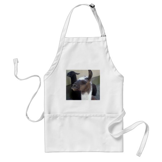 Wie ben ik? Zoo Llama ontwerp Standaard Schort (Voorkant)
