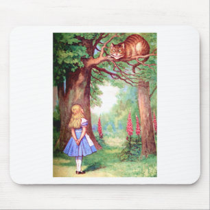 "WIE BEN JE?" CHESHIRE CAT VRAAGT ALICE. MUISMAT