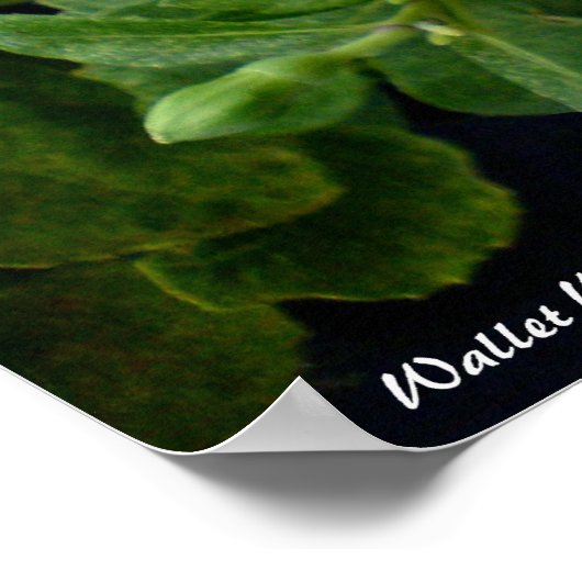 Wie ben je? poster (Hoek)