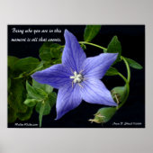 Wie ben je? poster (Voorkant)