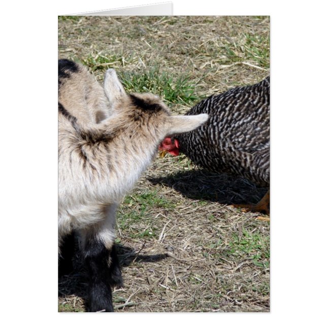 Wie ben jij? (Voorkant)