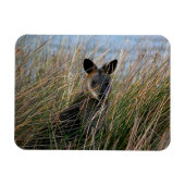 Wie ben jij? magneet (Horizontaal)