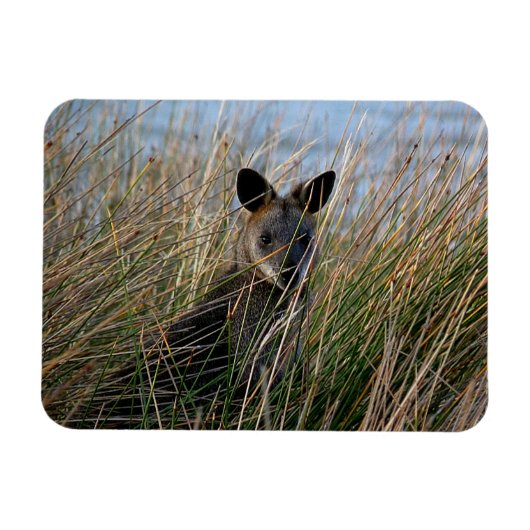 Wie ben jij? magneet (Horizontaal)